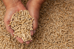 Ferotec : expert en granulation de bois