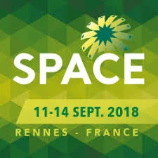 Read more about the article ESPAÇO 2018